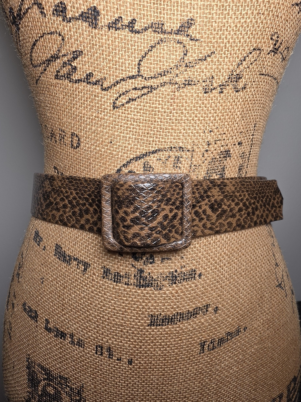 Wide Brown Snake-Print Belt with Covered Buckle